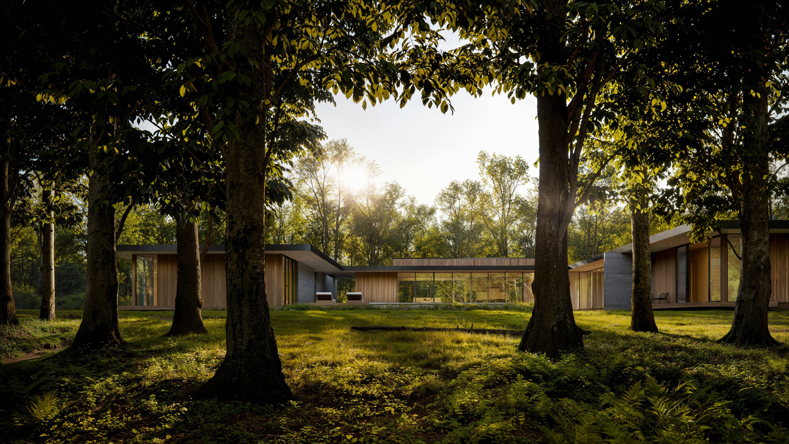Modern house design, showcasing 3D house rendering services, framed by trees in a sunlit forest setting.